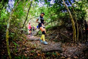 BIB: 
                            <button type="button" onclick="openModal(7048214)" class="btn btn-primary btn-sm float-right btn-popup" data-toggle="modal" data-target=".modal-high-quality">
                        <i class="fas fa-shopping-cart"></i> Add to Cart
                    </button>
                                            <button type="button" onclick="isThisMe(7048214, true)" class="btn btn-success btn-sm float-right btn-popup btn-isme hidden" data-toggle="tooltip" data-placement="bottom" title="นี่คือรูปของคุณใช่ไหม คลิกที่นี่เพื่อเอาเข้าอัลบั้ม">
                        <i class="fas fa-plus"></i> Add to album
                    </button>
                    <button type="button" onclick="isThisMe(7048214, false)" class="btn btn-warning btn-sm float-right btn-popup btn-isnotme hidden">
                        <i class="fas fa-ban"></i> Remove from album
                    </button>